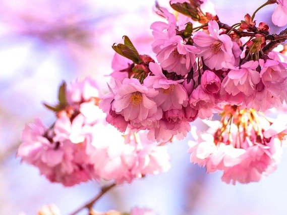 踏み台EC2からセッションマネージャーへの移行の推奨