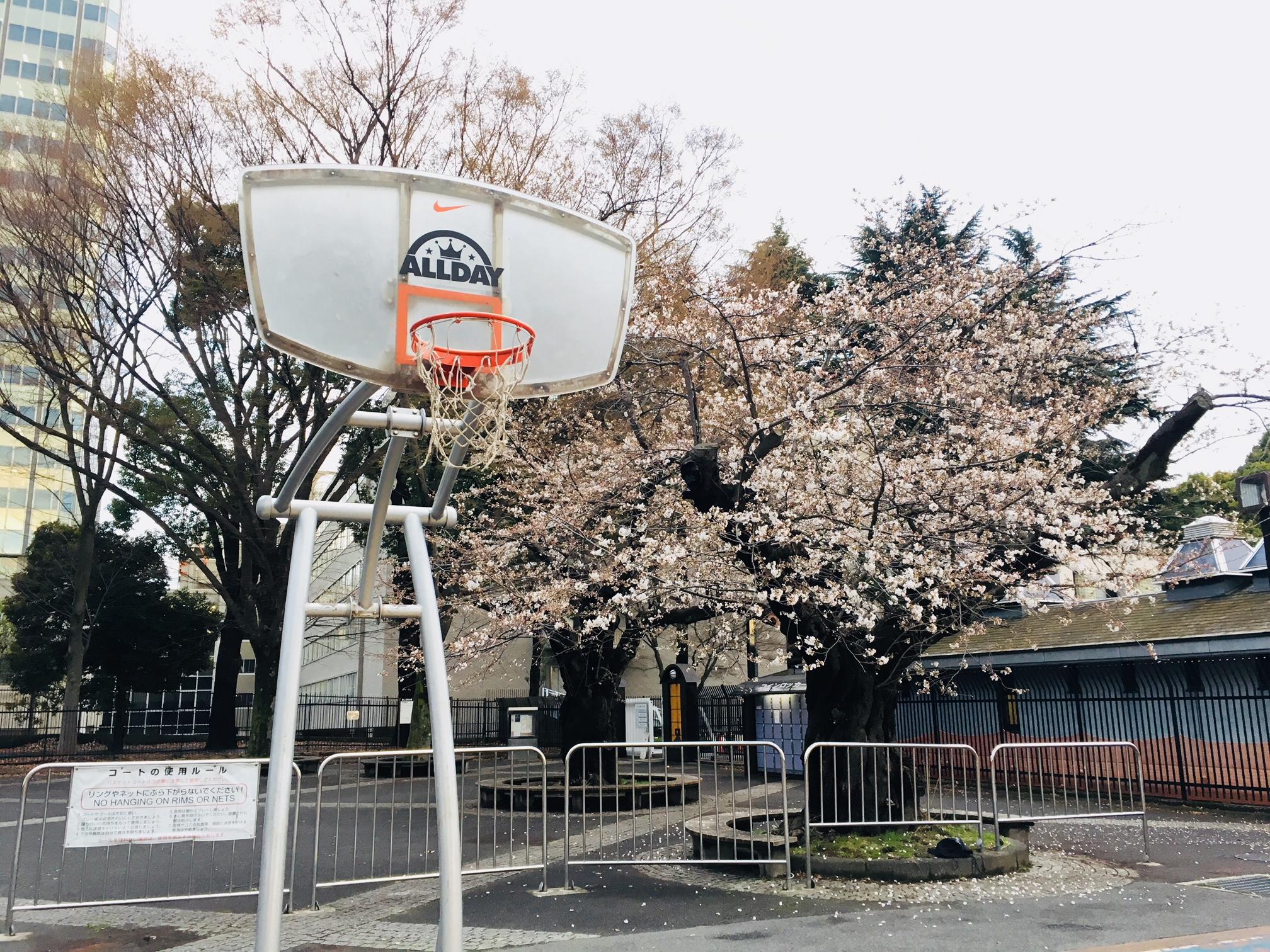 譚 志翔